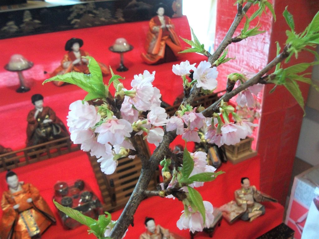 画像:🎎ひなまつりとホワイトデー💖